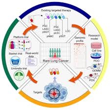 Targeted Therapy
