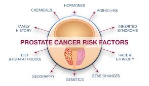 UNDERSTANDING PROSTATE CANCER RISK FACTORS