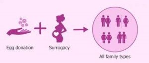 Egg Donation and Gestational Surrogacy