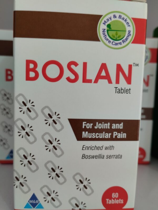 BOSLAN TABLETS (CUP)- Glucosamine