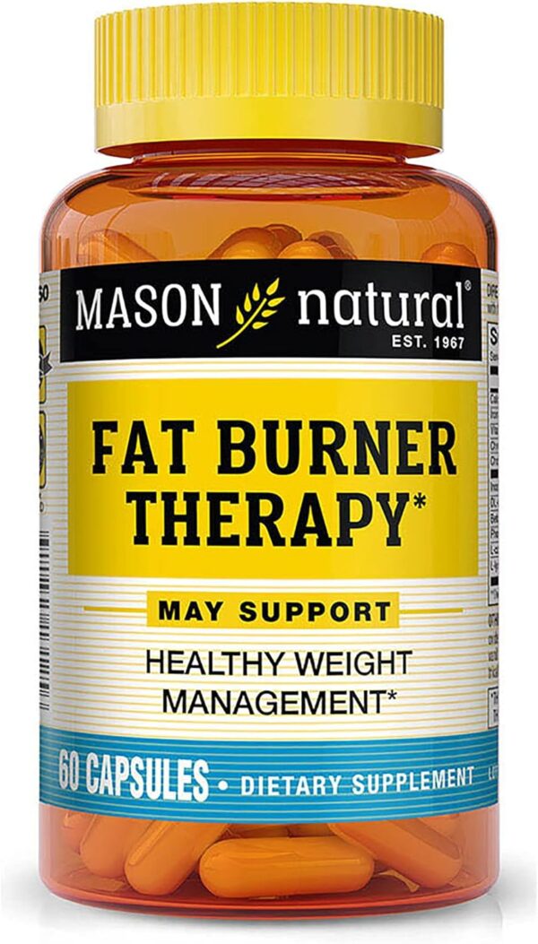 MASON NATURAL FAT BURNER BY 60 CAPSULES