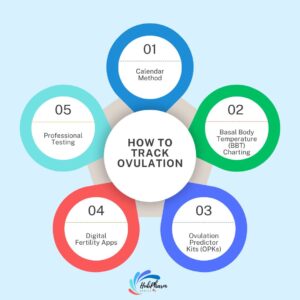 How to Track Ovulation