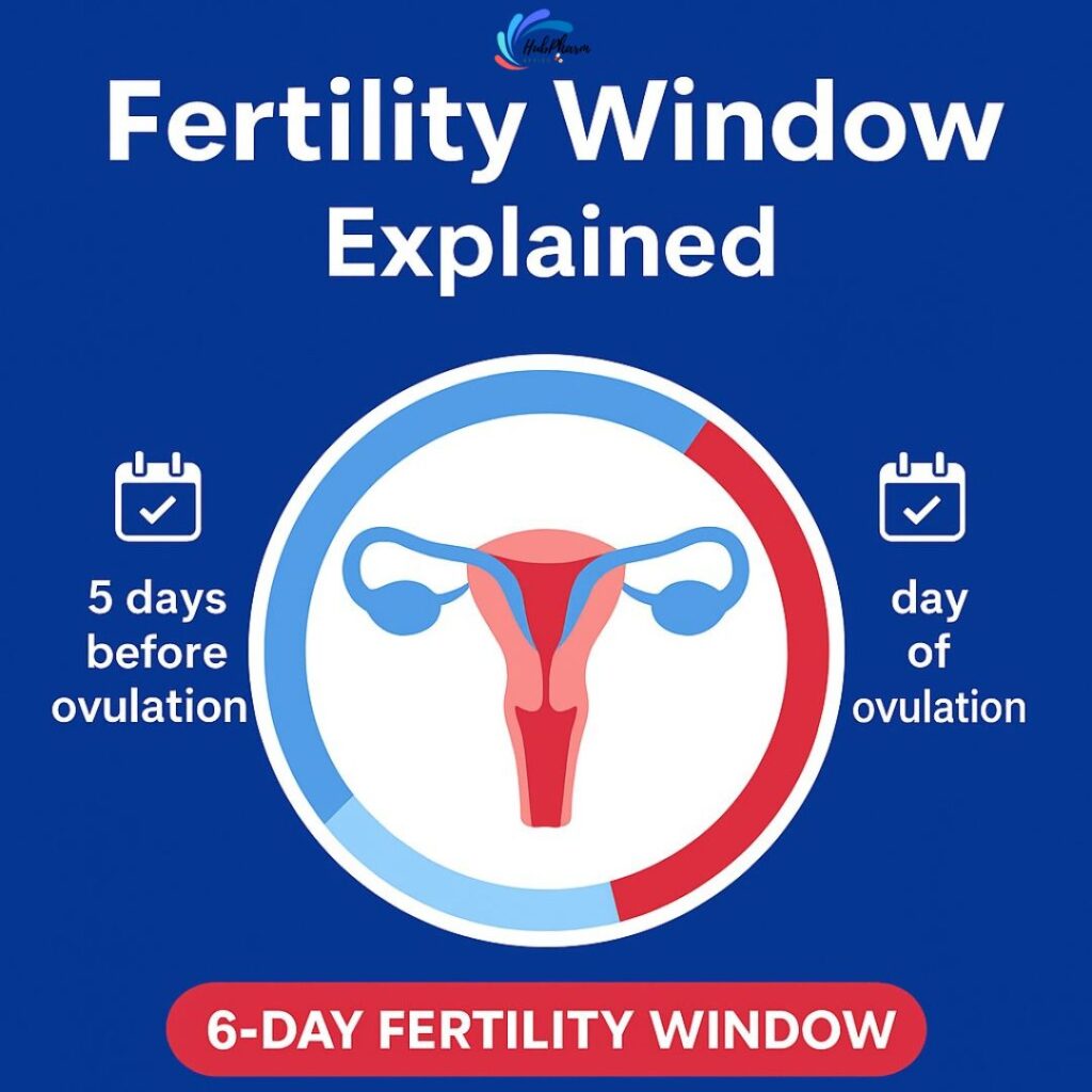 fertility window