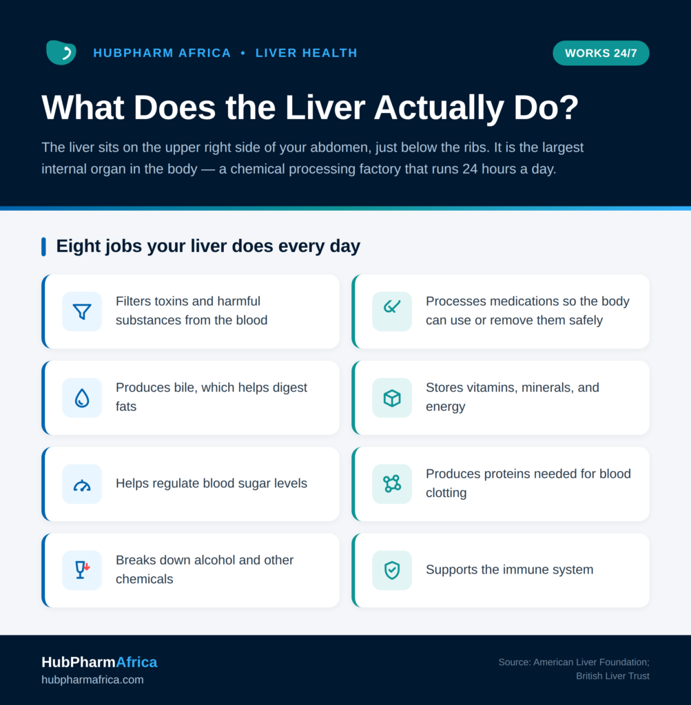 liver functions infographic